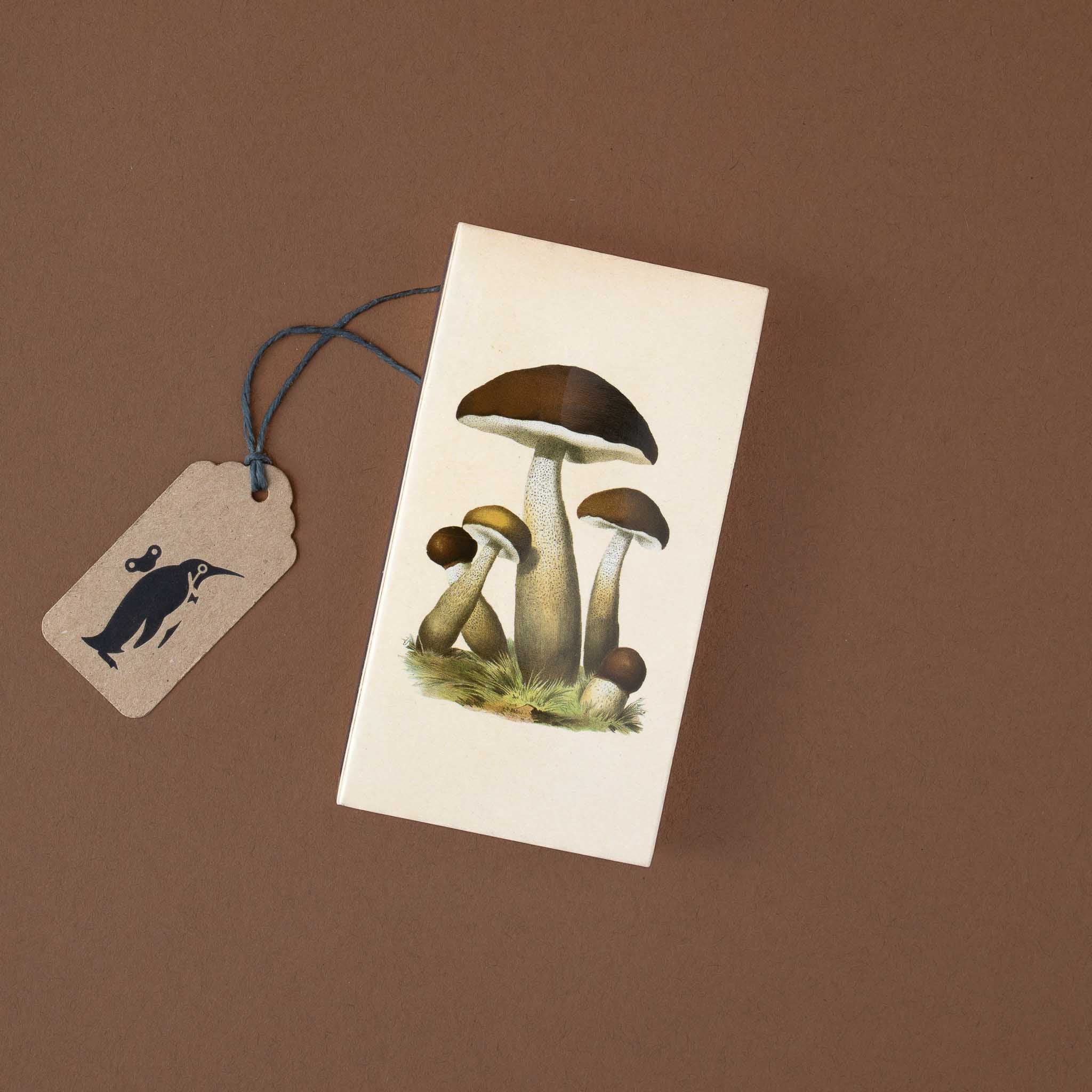 Matches | Mushrooms