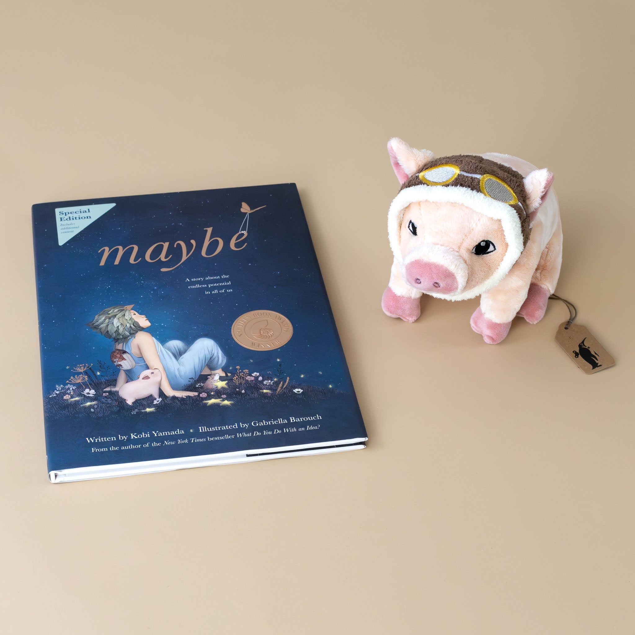 Maybe Book Gift Set