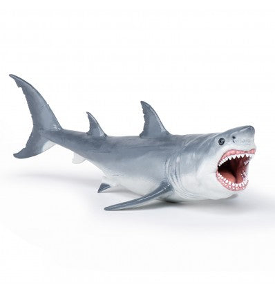 PAPO - Megalodon