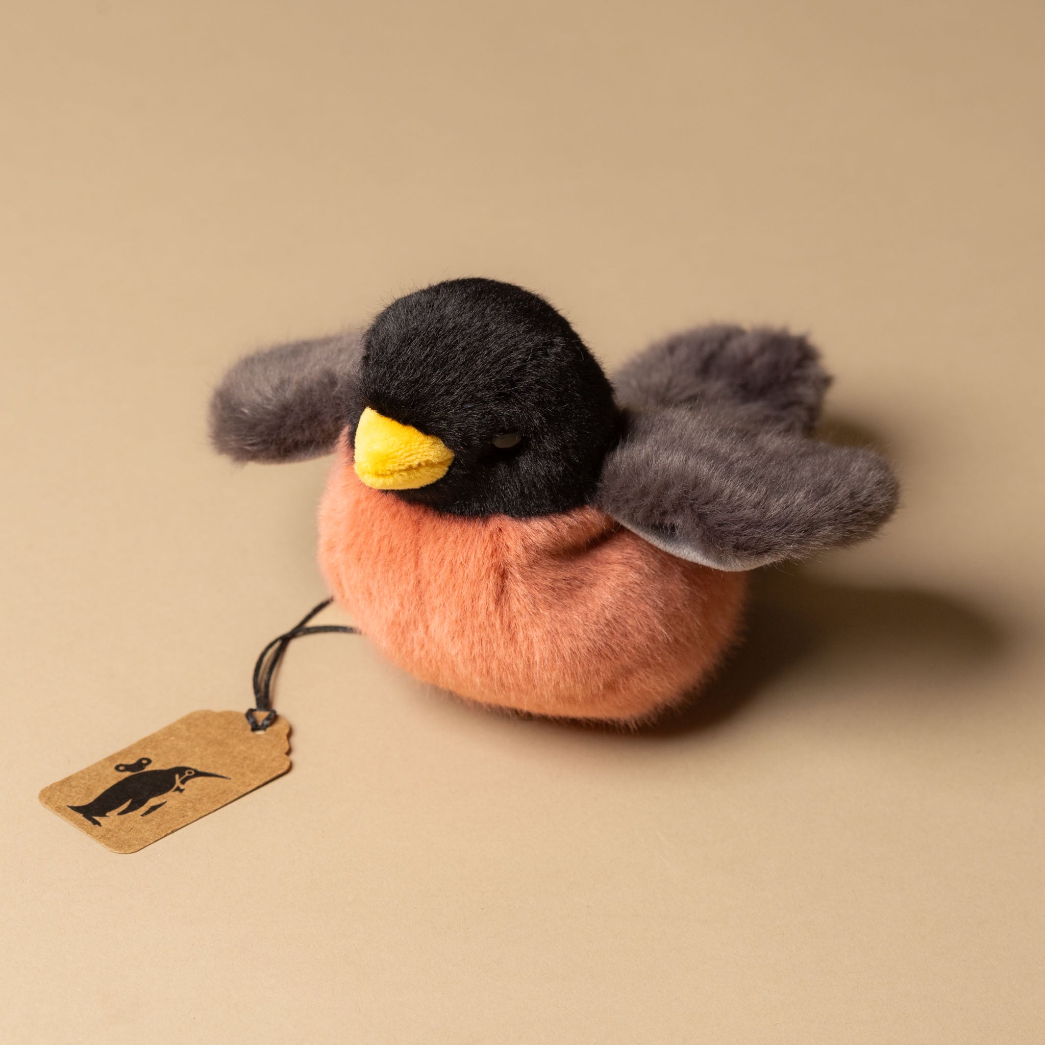 Melody the Robin