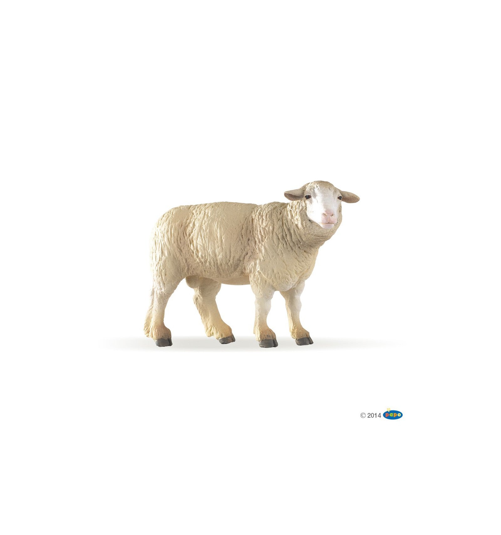 PAPO - Merinos Sheep