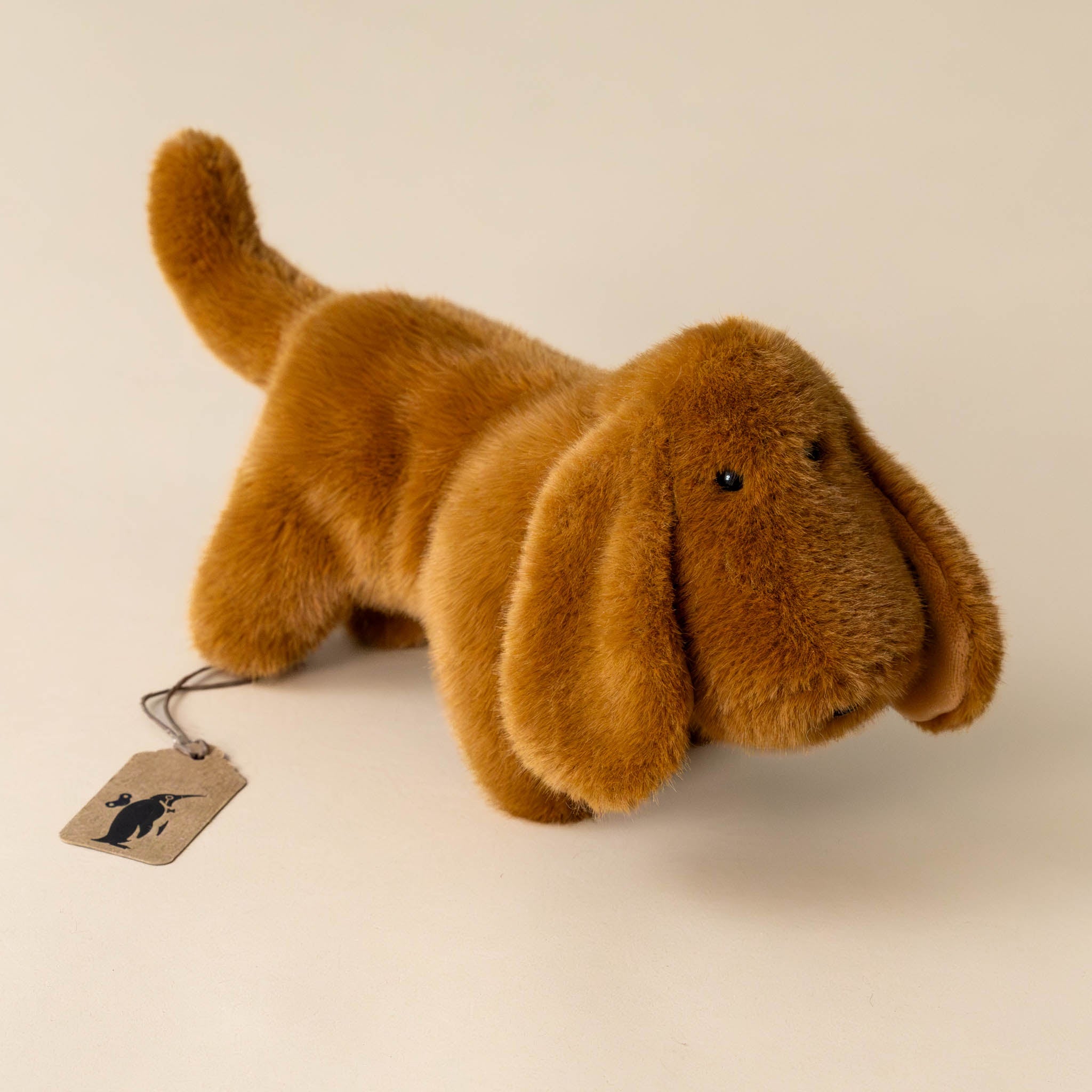 Muzzle Dale Dachshund Pup | Small