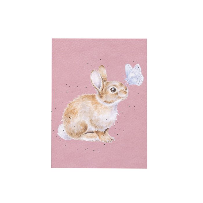 I Spy a Butterfly' Rabbit Small Notebook