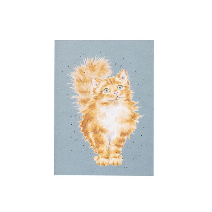 Just Purrr-fect' Cat Small Notebook