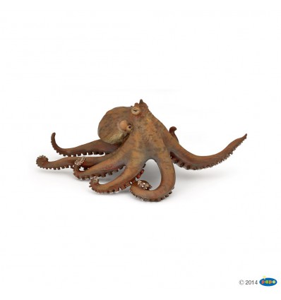 PAPO - Octopus