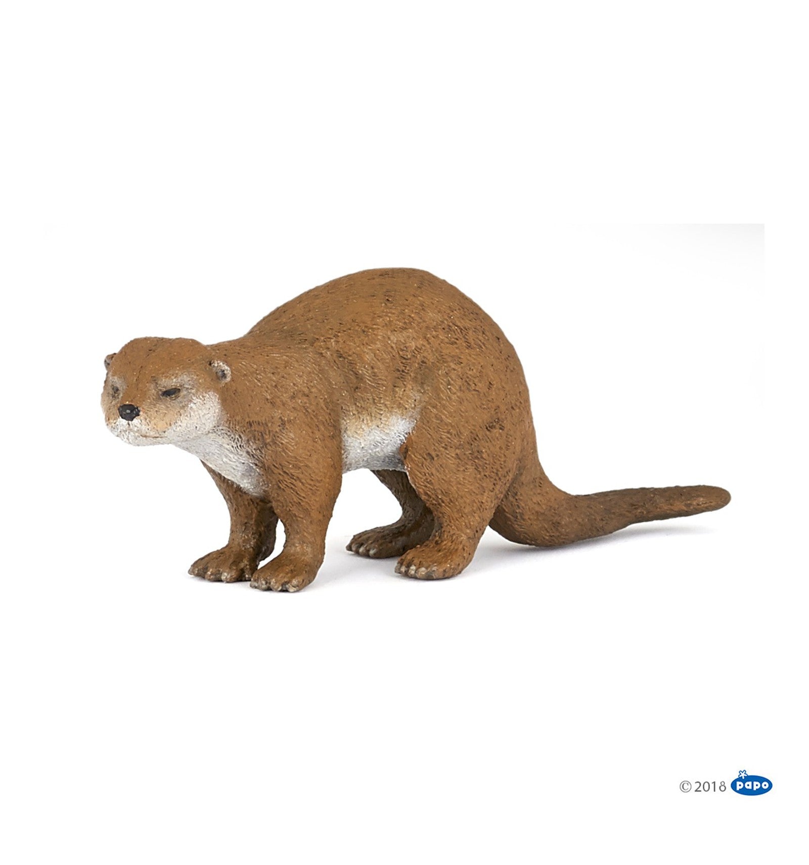PAPO - Otter