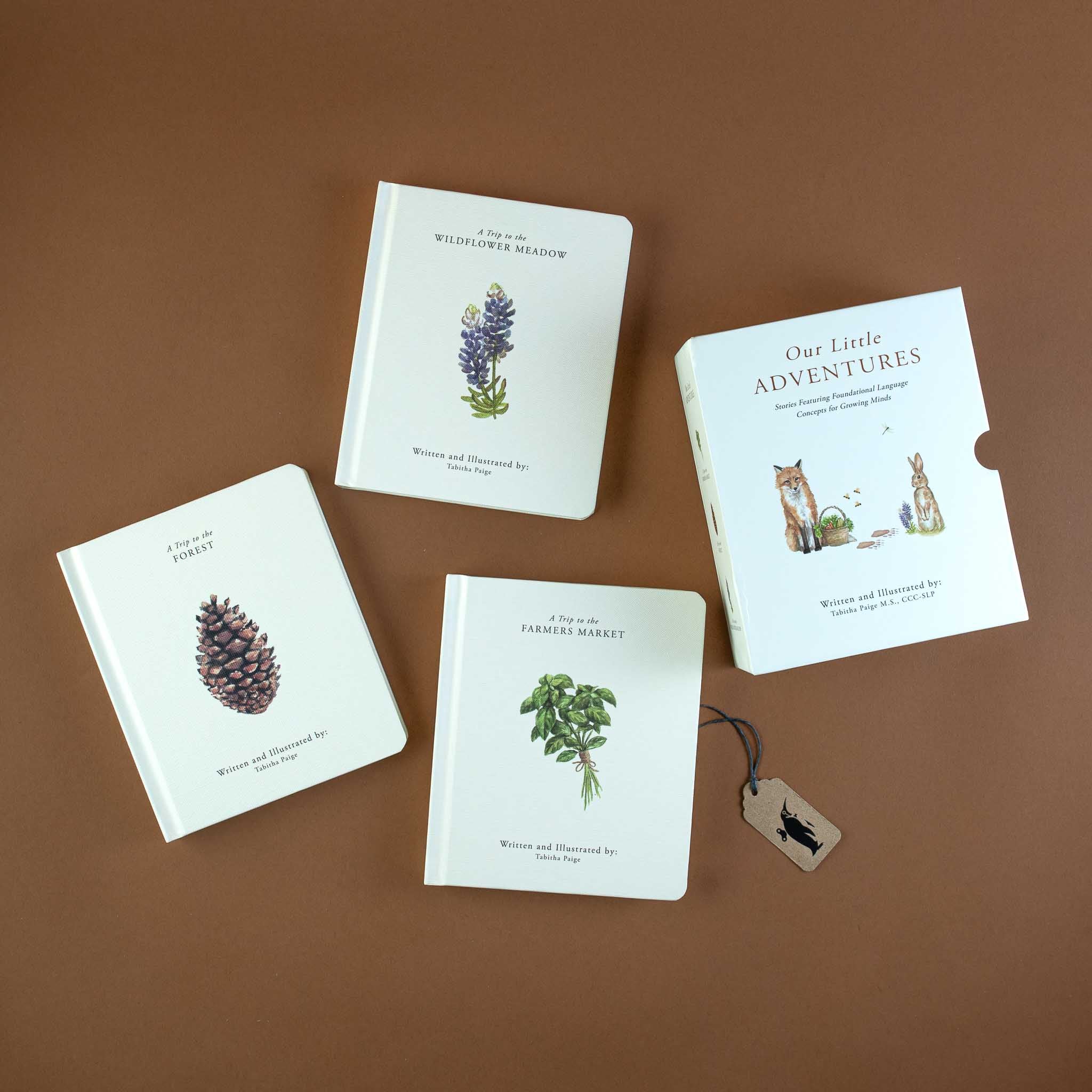 Our Little Adventures Board Book Box Set