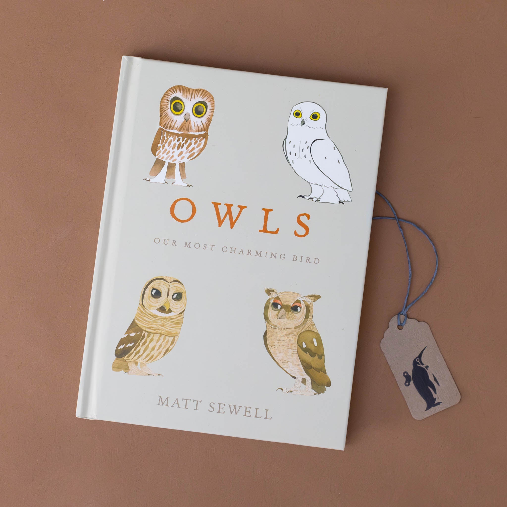Owls | Our Most Charming Bird