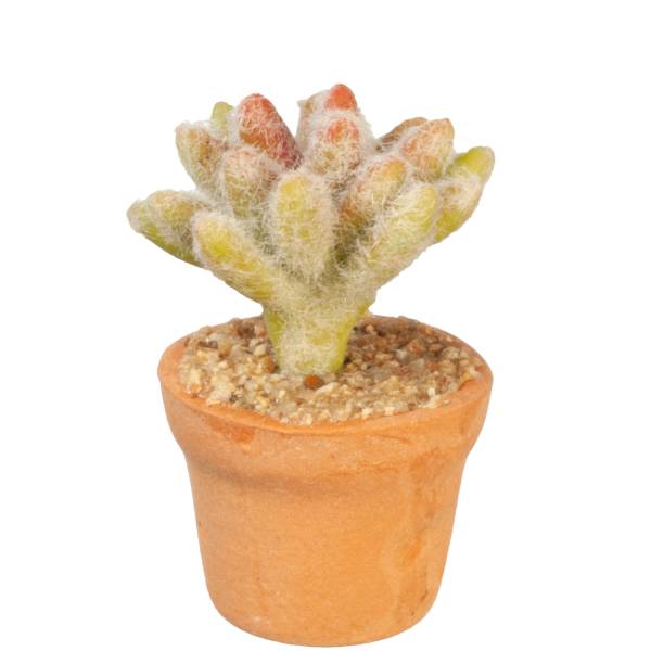 Pale Dollhouse Miniature Potted Cactus