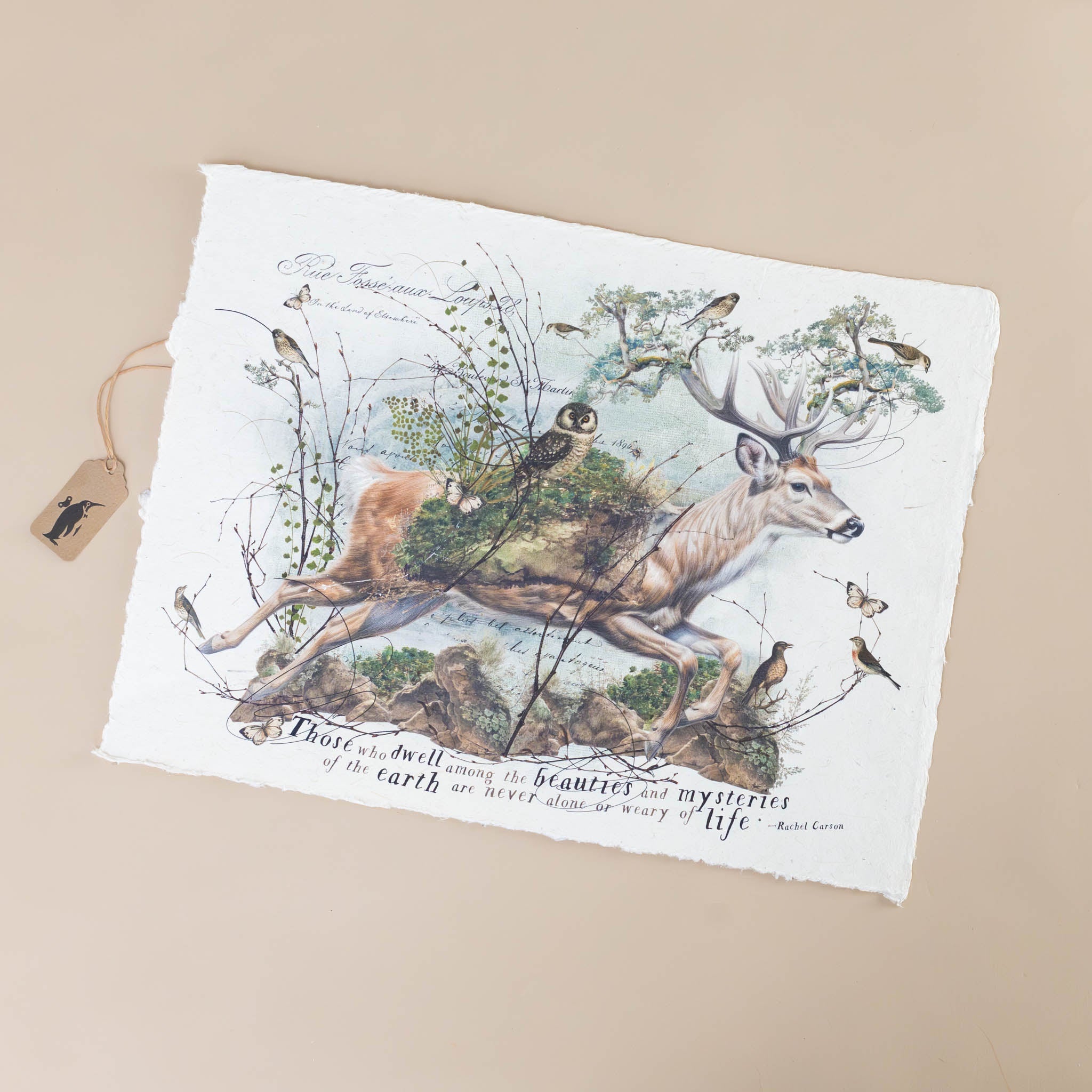 Paper Print | Mysteries of the Earth