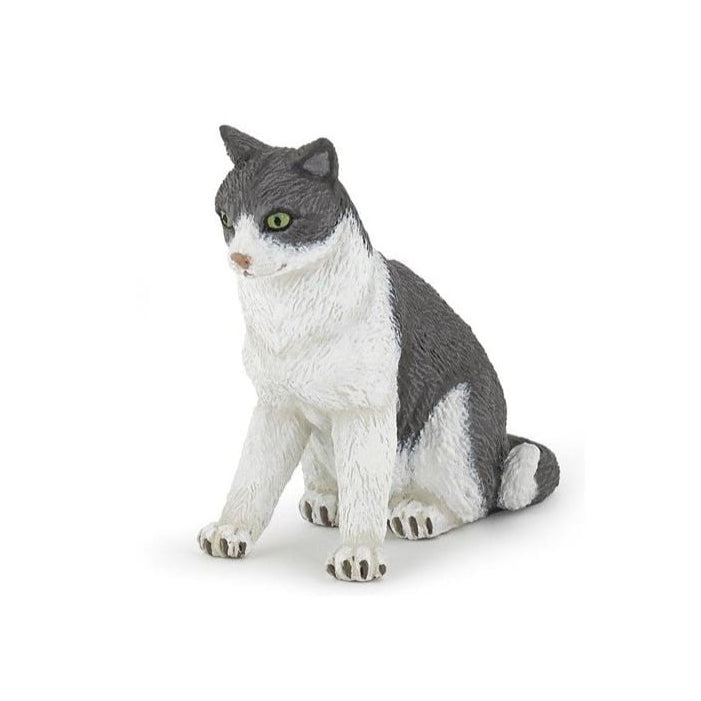 54033 Cat Sitting Down