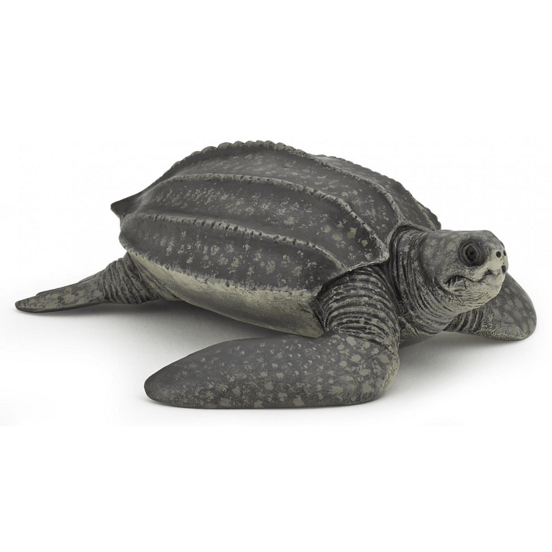56022 Leatherback Turtle