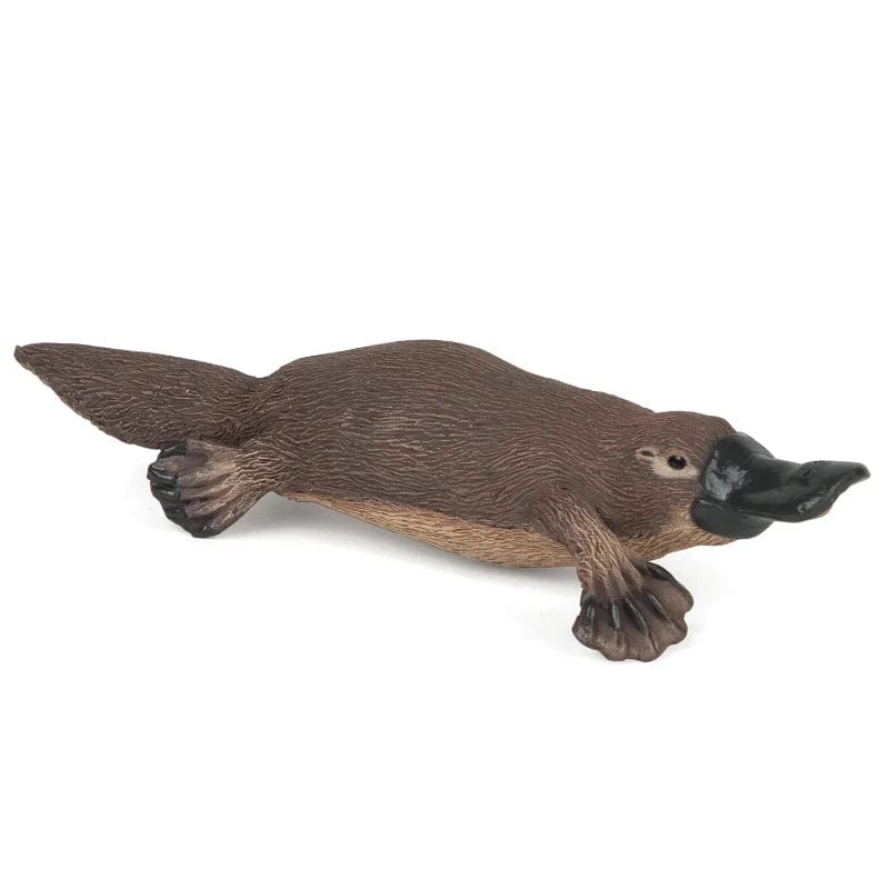 56011 Platypus