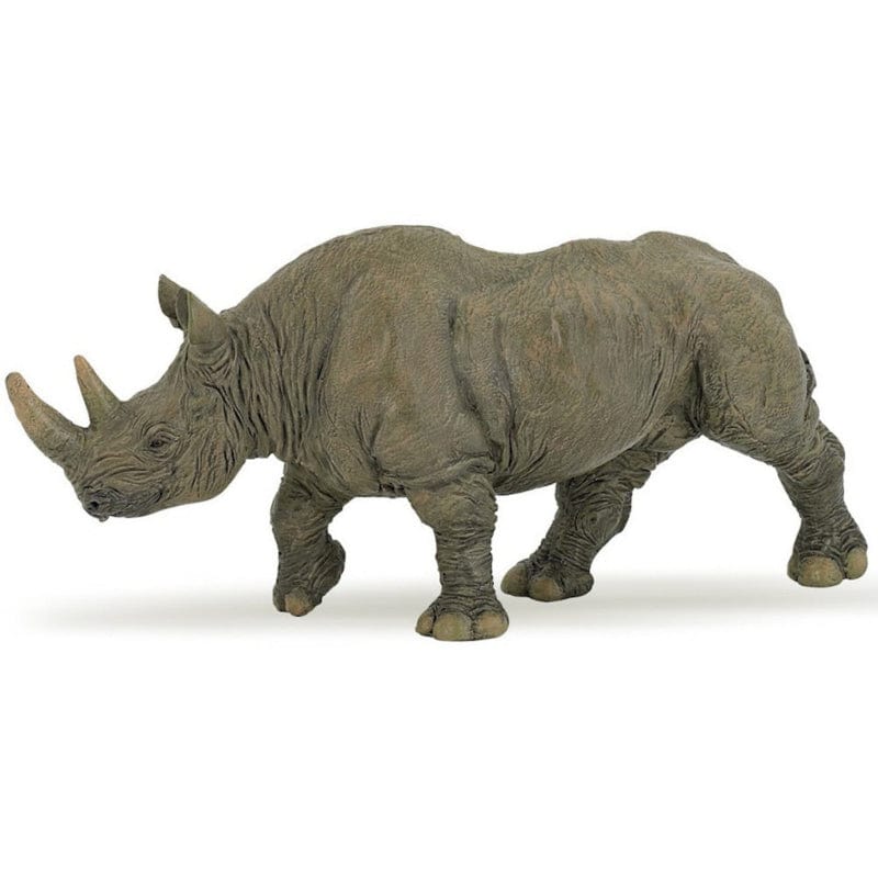 50066 Black Rhinoceros