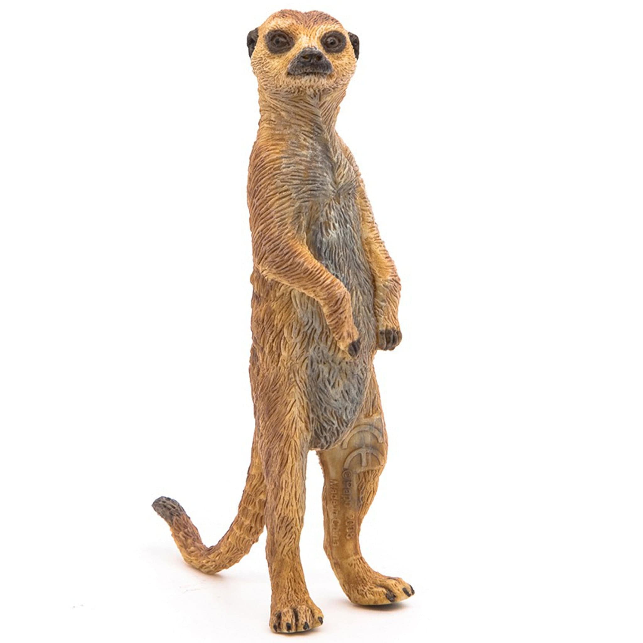 50206 Standing Meerkat