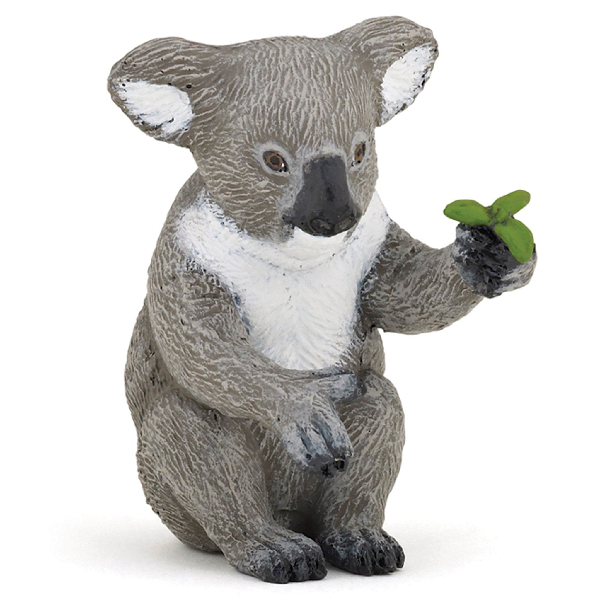 50111 Koala
