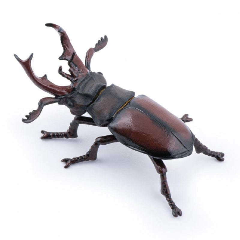 50281 Stag Beetle