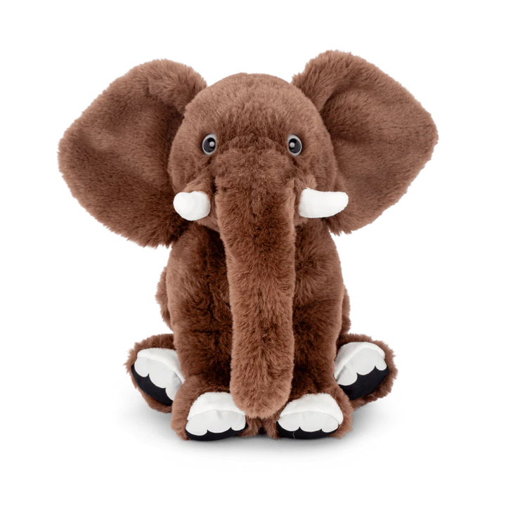 Expedition Elephant