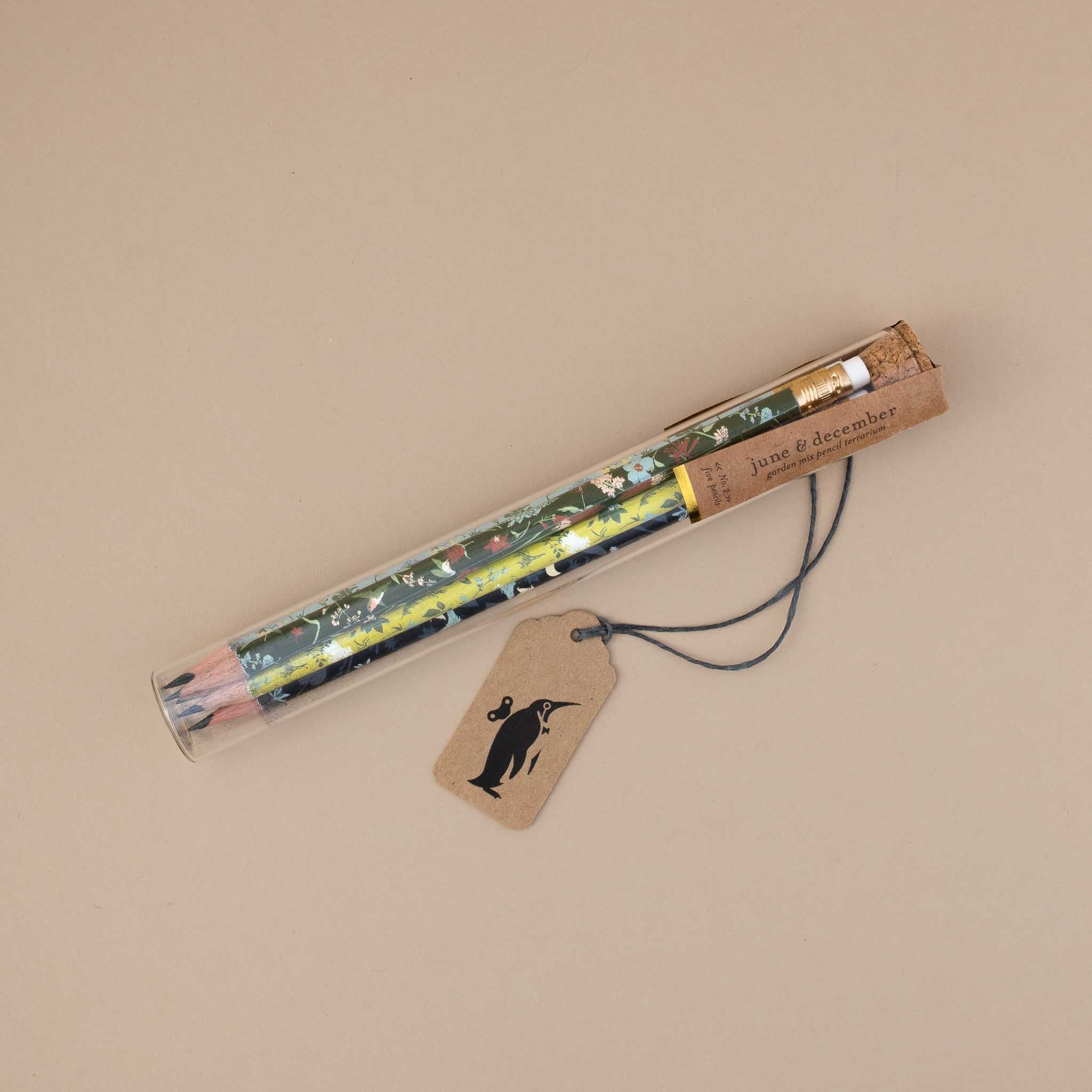 Pencil Terrarium | Garden Mix