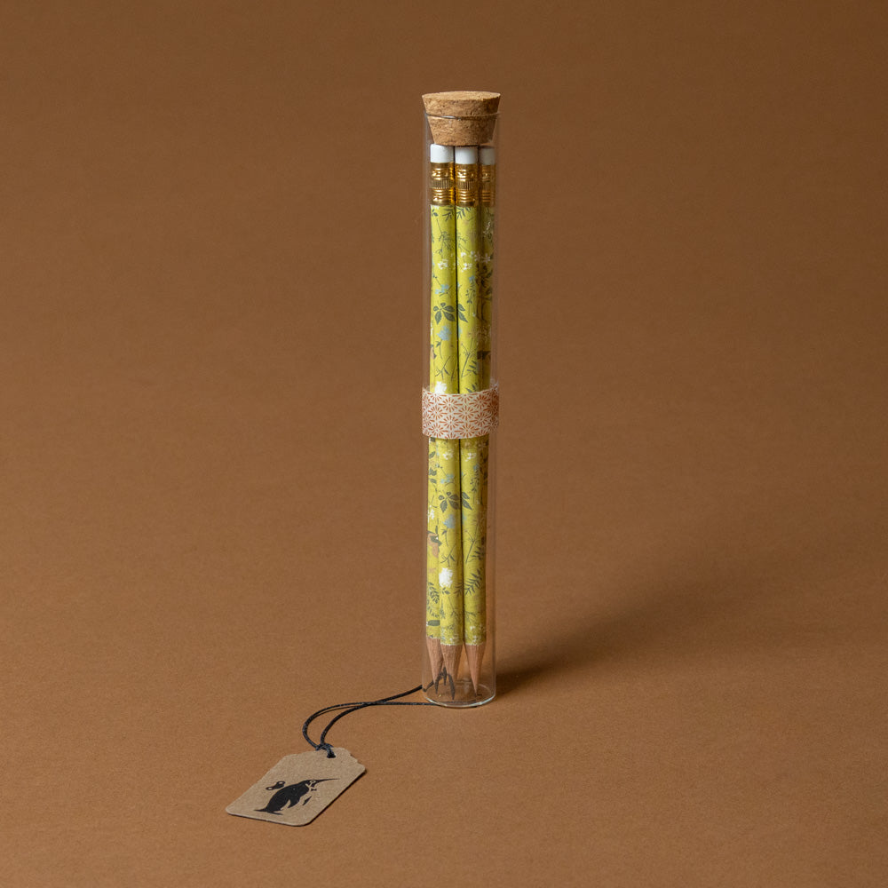 Pencil Terrarium | Tea Garden