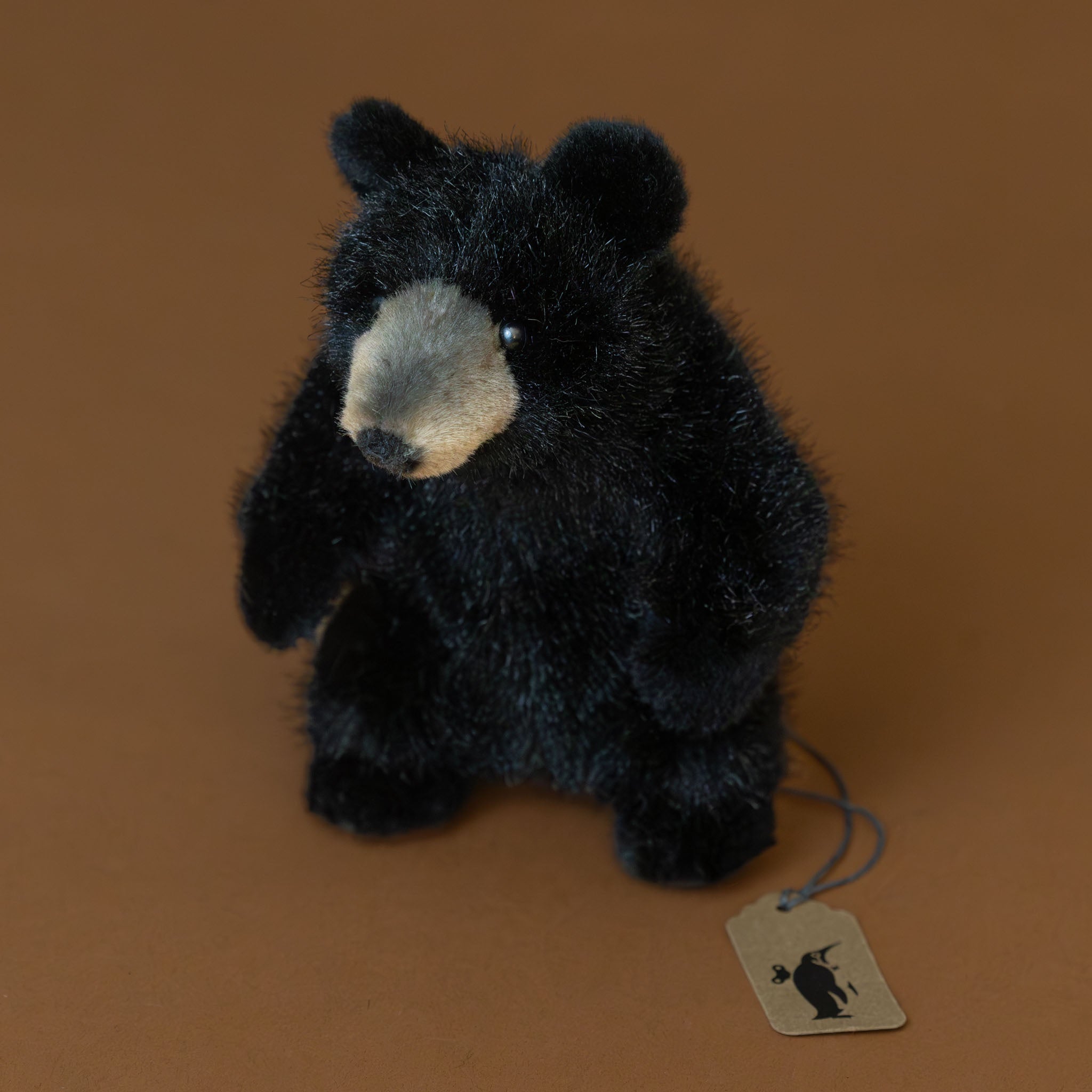 Petite Black Bear | Sitting