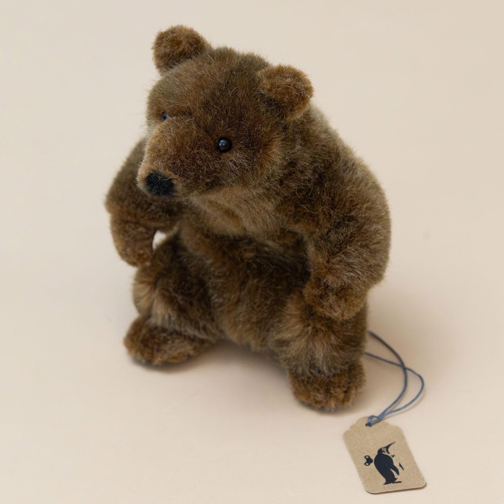 Petite Grizzly Bear | Sitting