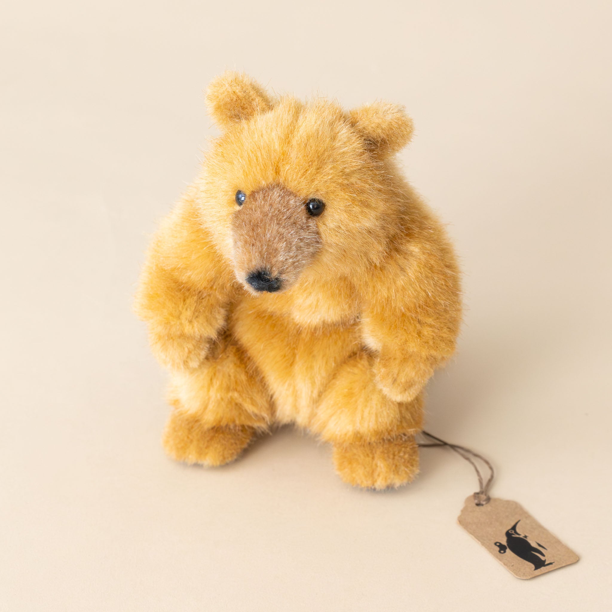 Petite Sun Bear | Sitting