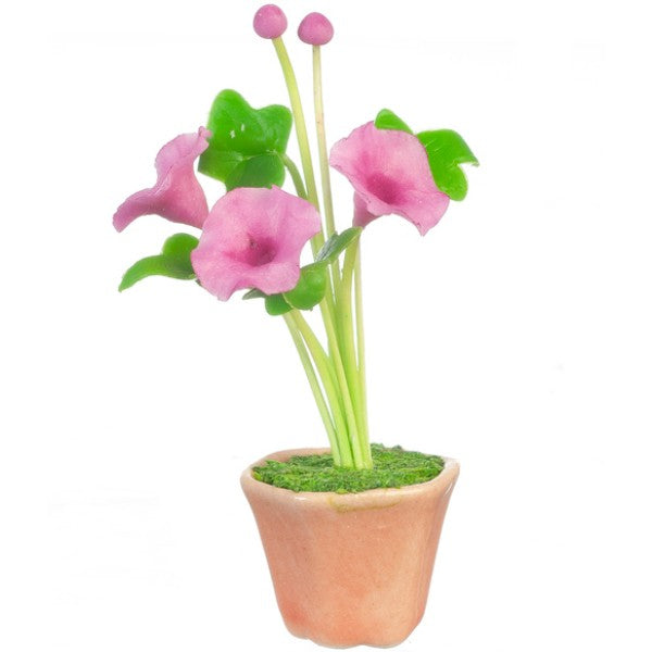 Potted Fushia Dollhouse Miniature Morning Glory
