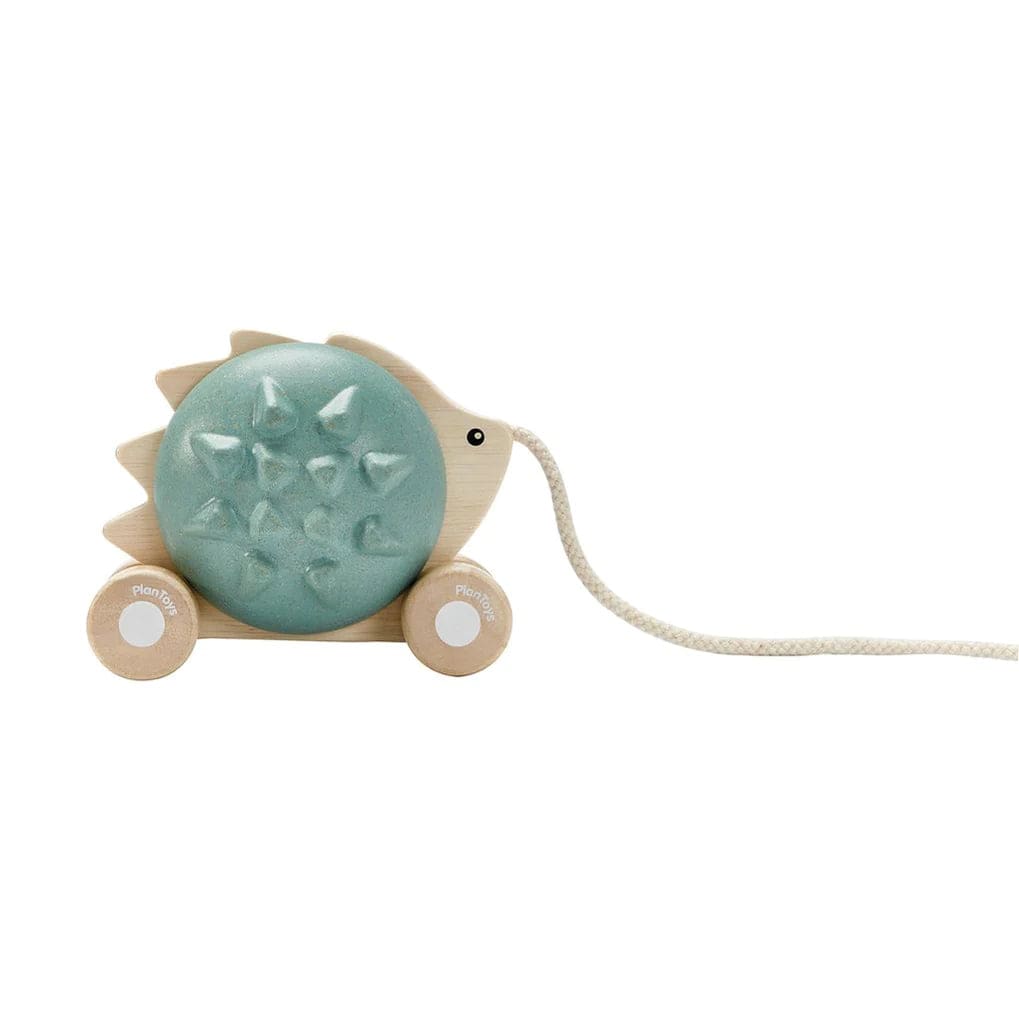 Pull Along Hedgehog Blue