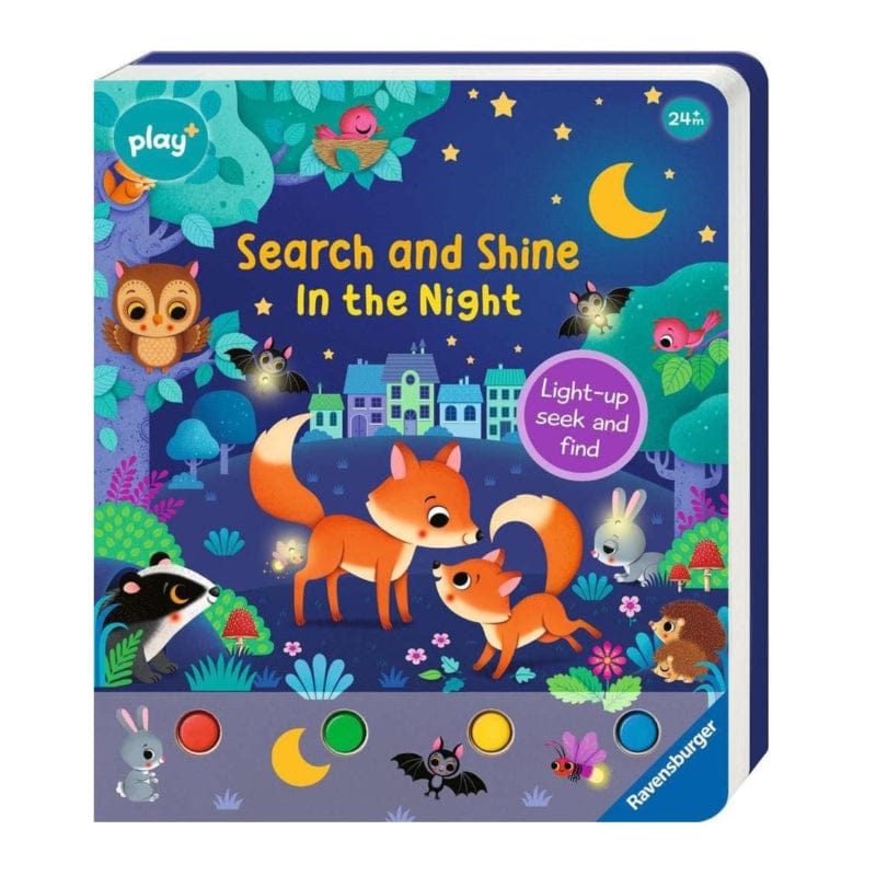 Search and Shine: In the Night