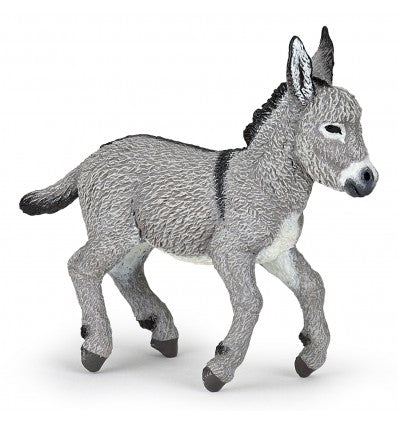 PAPO - Provence Donkey Foal