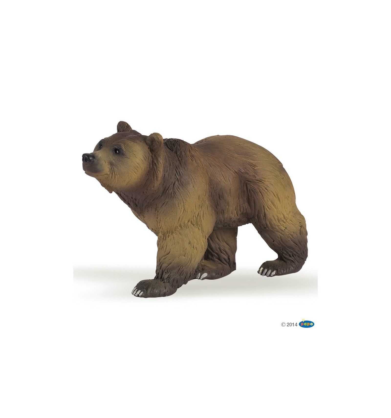 PAPO - Pyrenees Bear