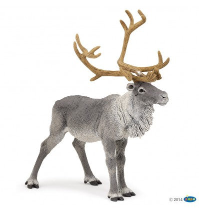 PAPO - Reindeer