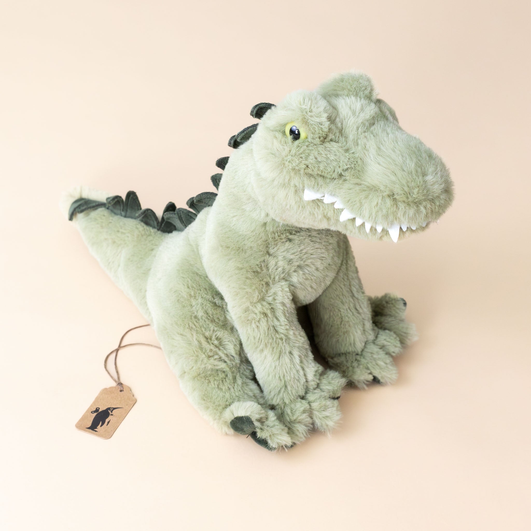 Rex the Alligator | Sitting