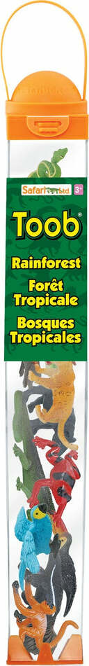 Rainforest TOOB®