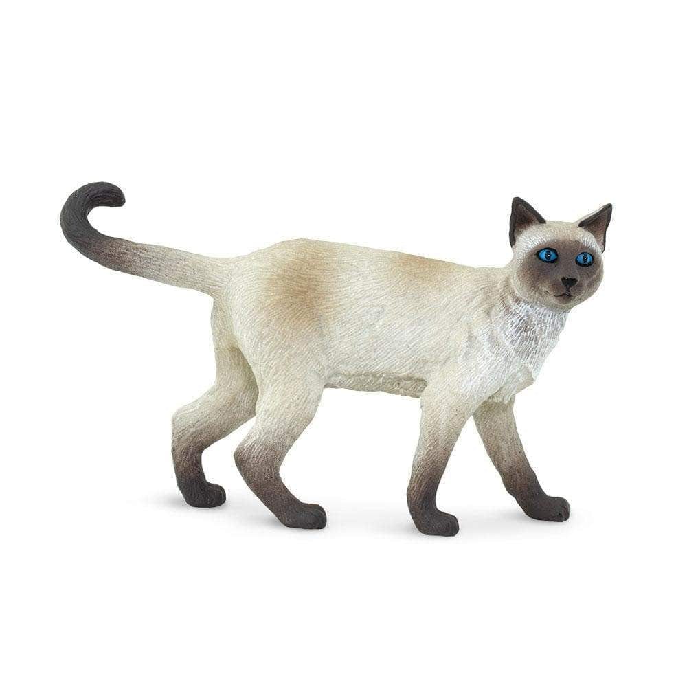 100061 Siamese Cat
