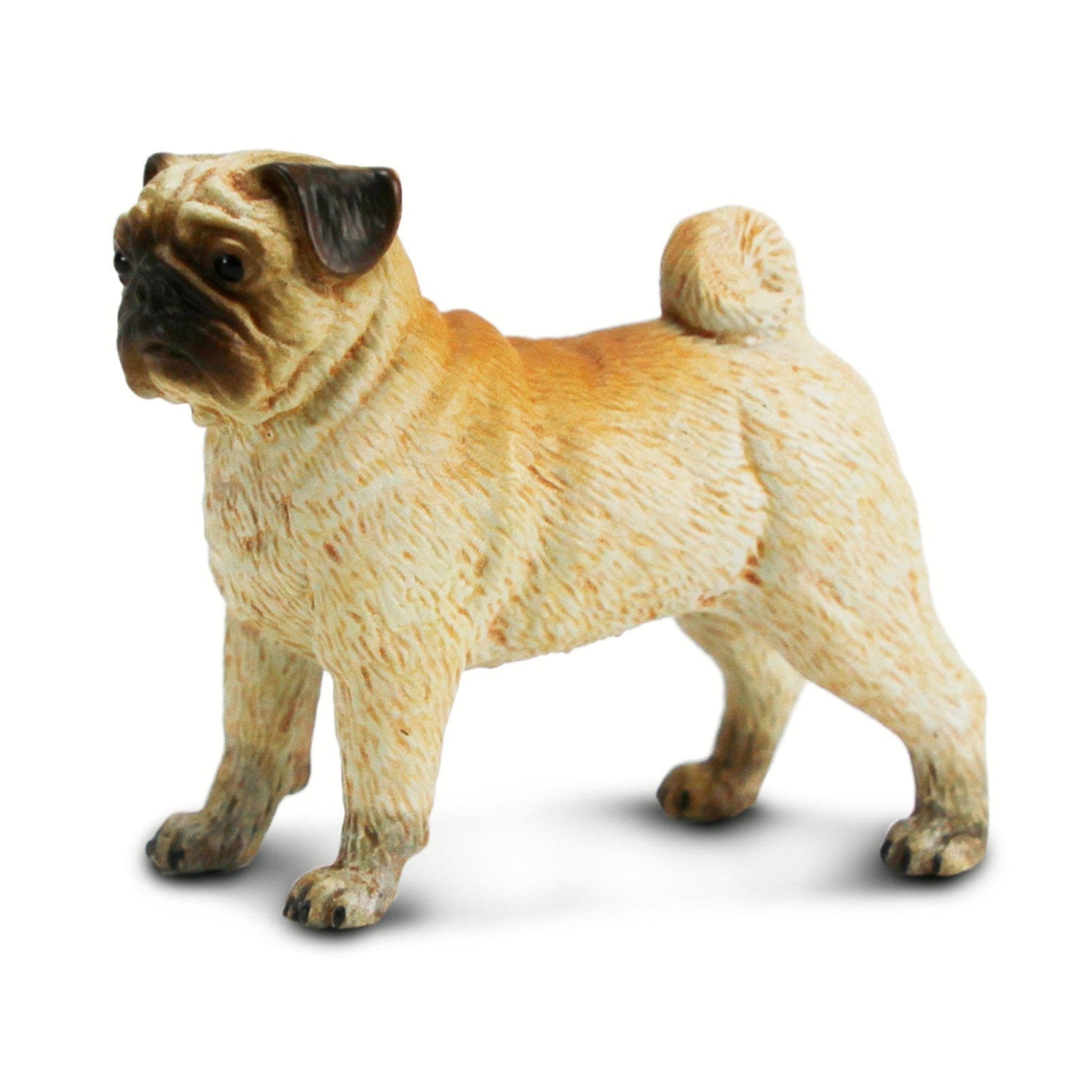 103540 Pug
