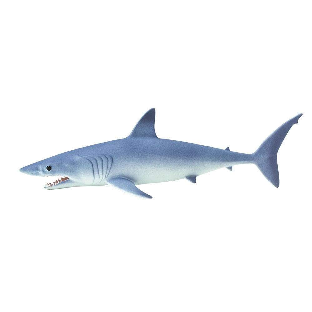 201929 Mako Shark