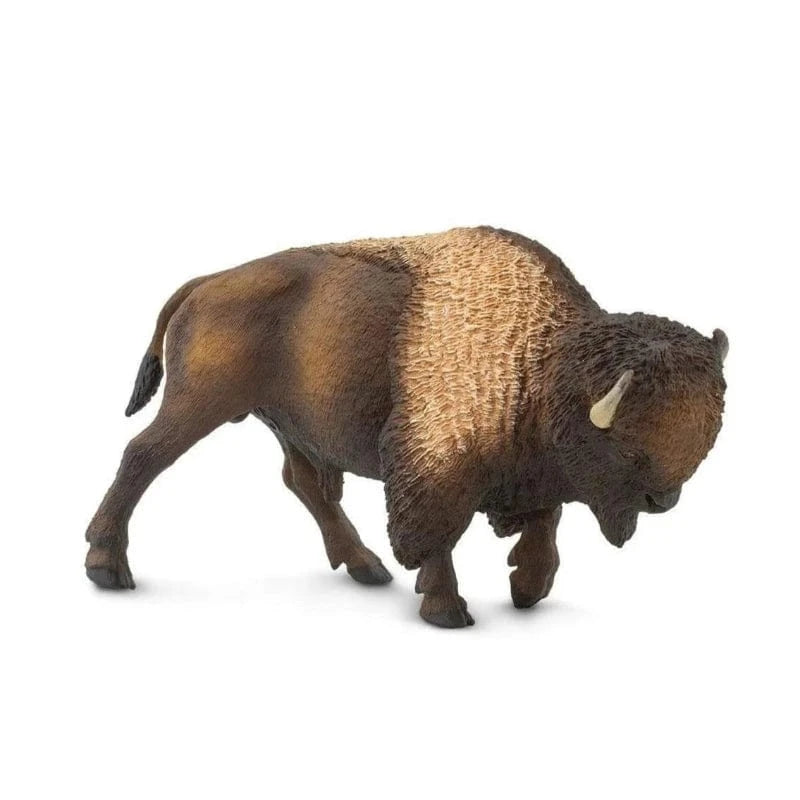 100152 Bison