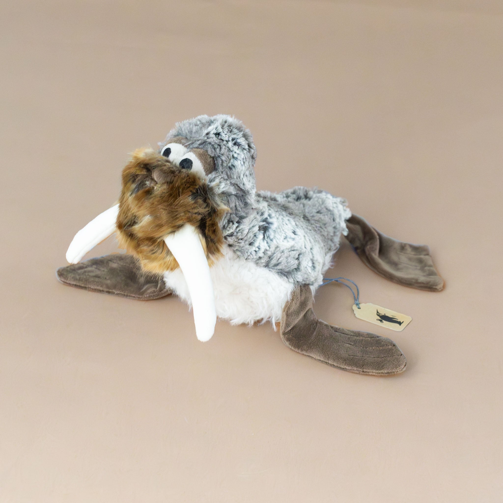 San Francis Walrus