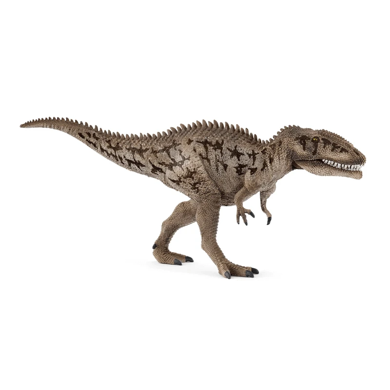 15048 Carcharodontosaurus