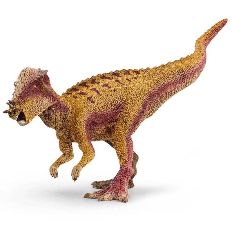 15024 Pachycephalosaurus