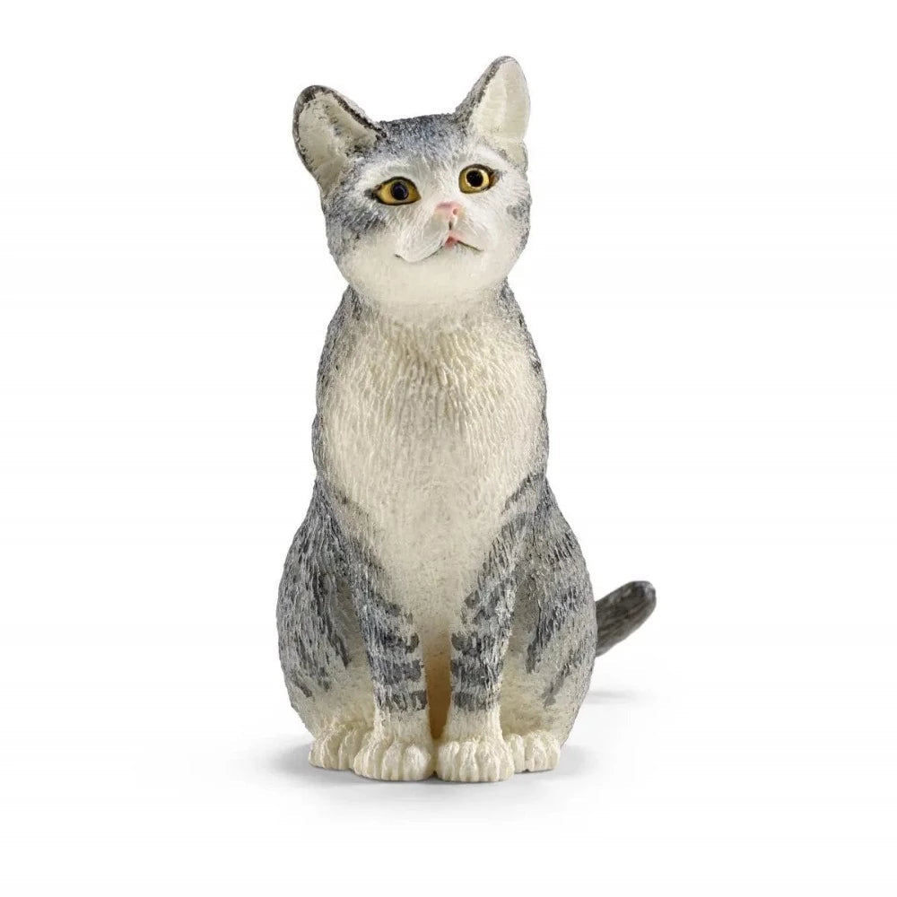 13771 Cat Sitting