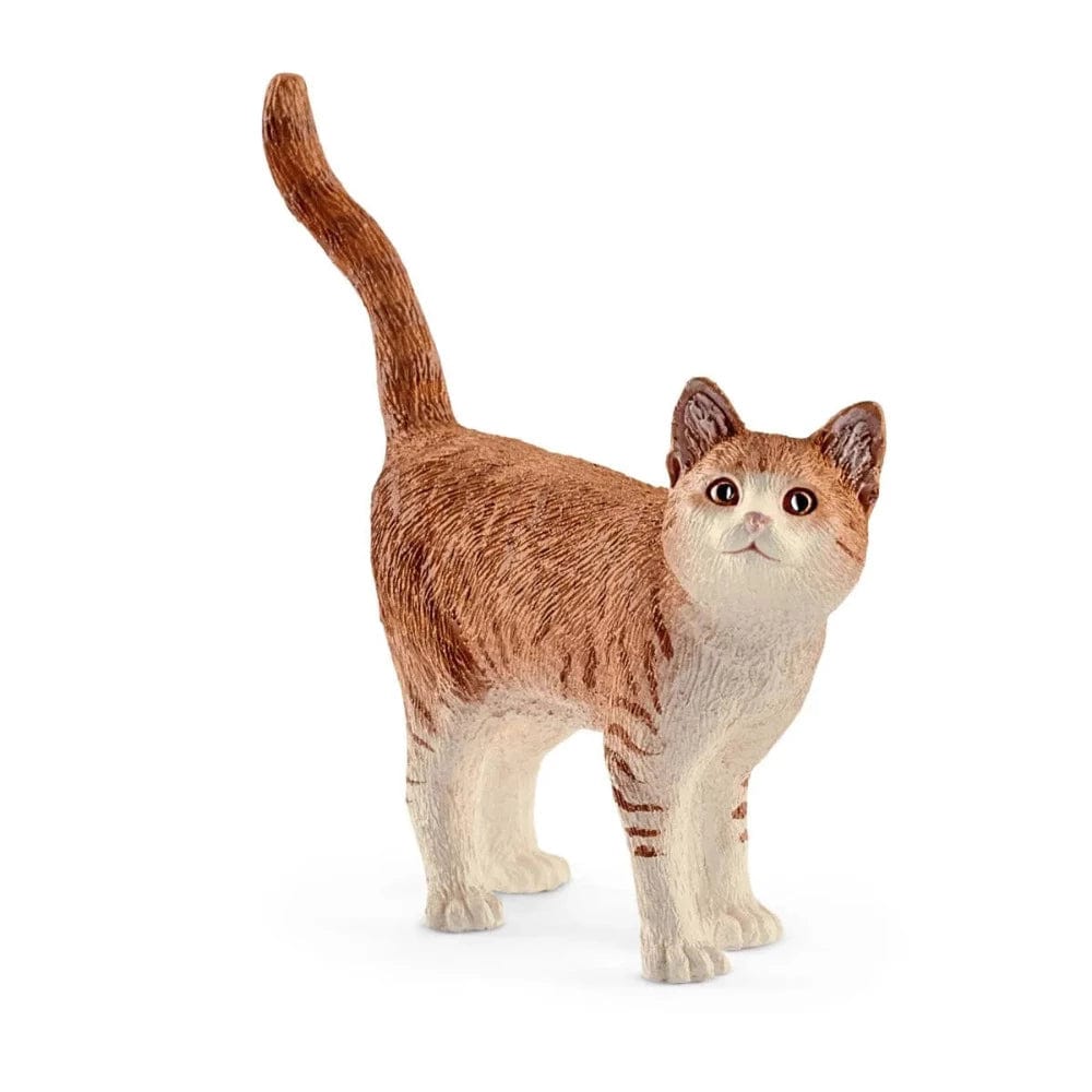 13836 Cat
