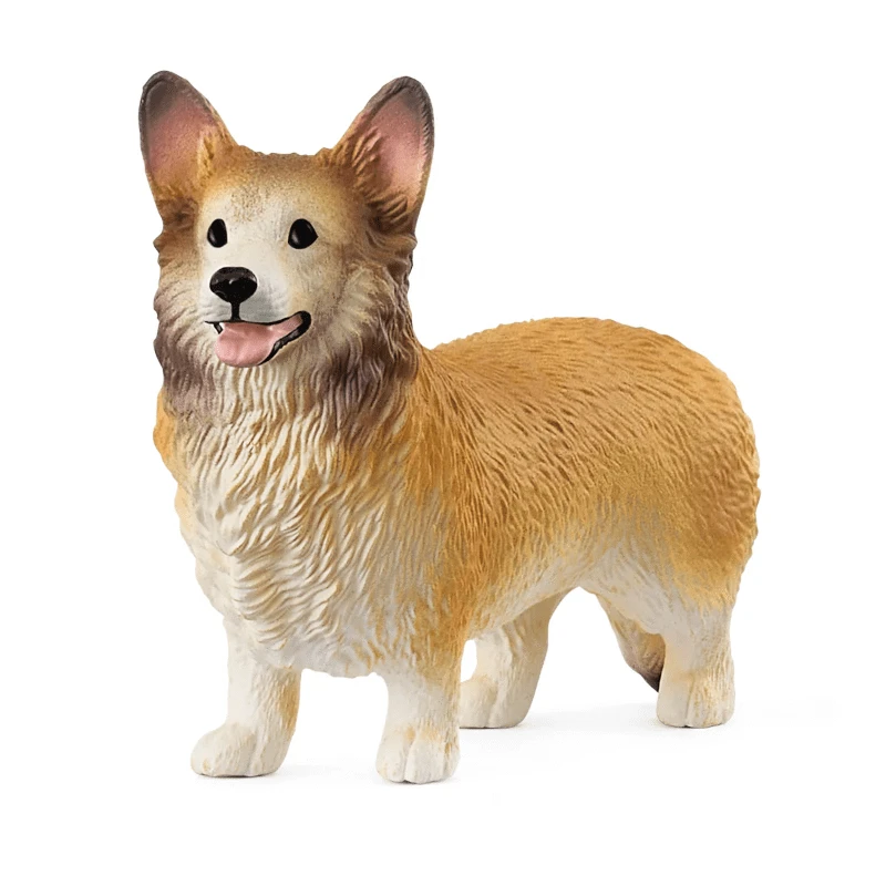 13999 Welsh Corgi