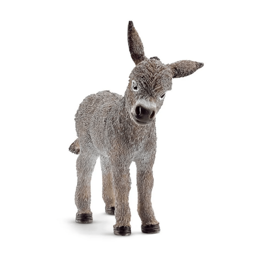 13746 Donkey Foal