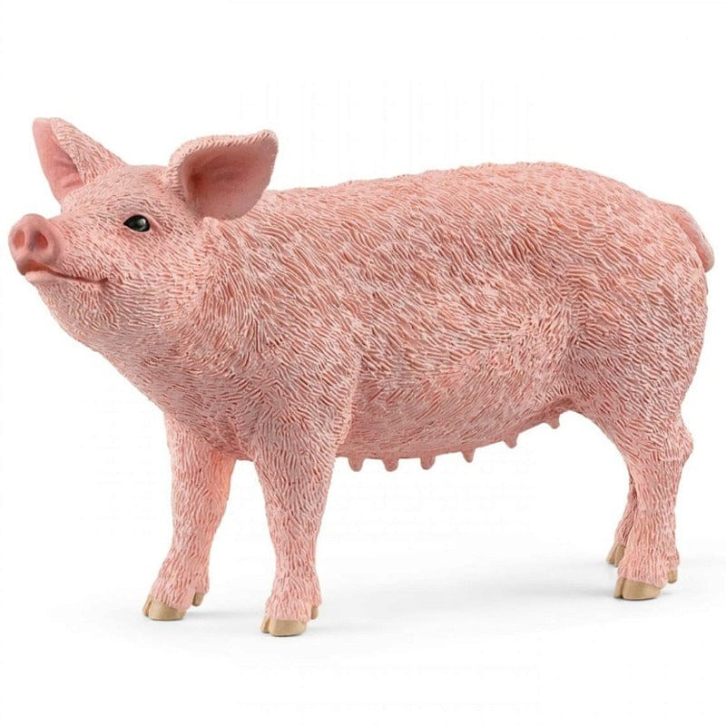 13933 Pig