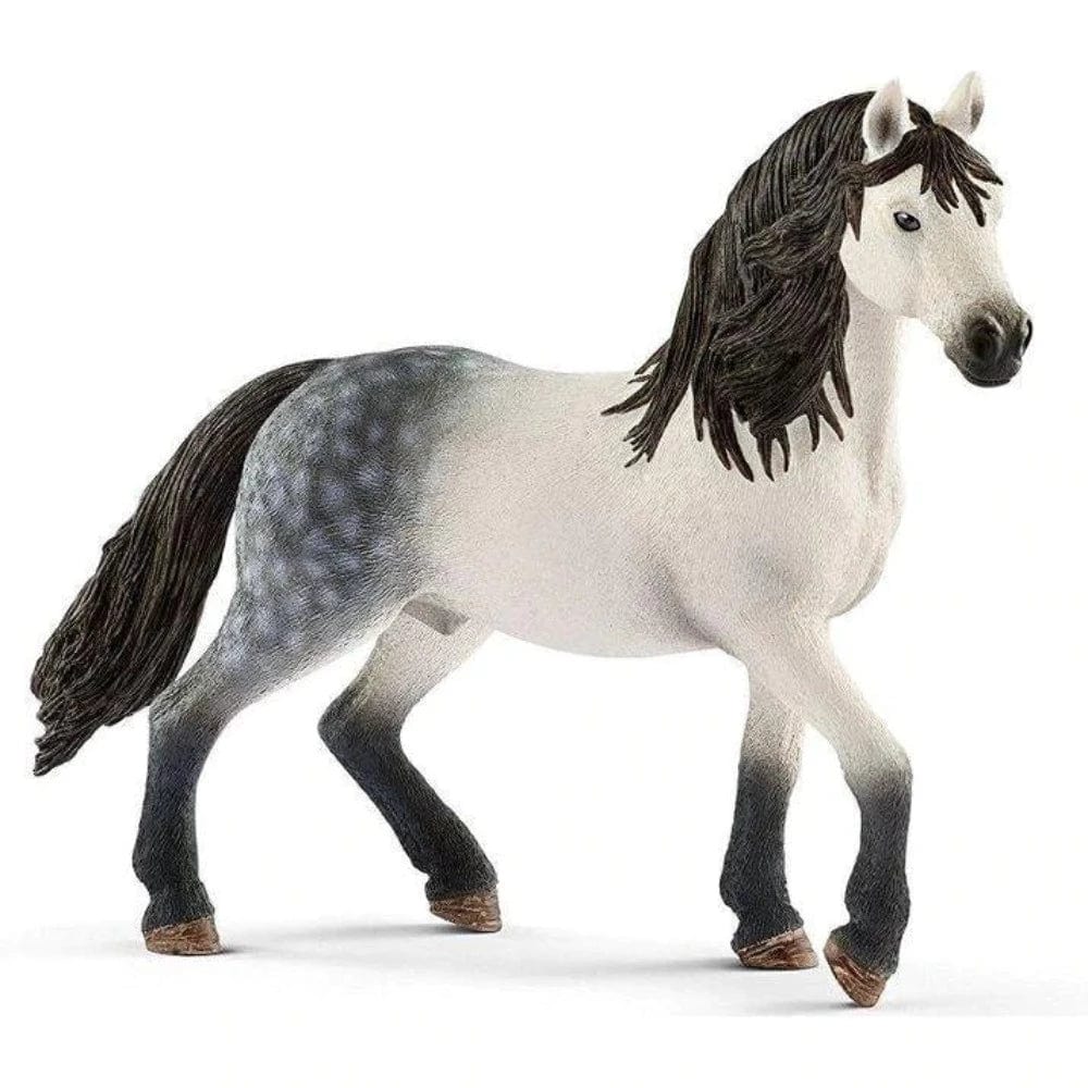 13821 Andalusian Stallion