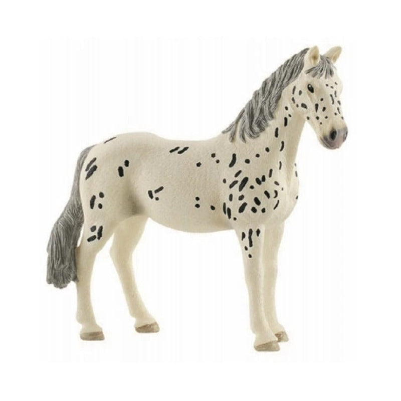 13910 Knabstrupper Mare