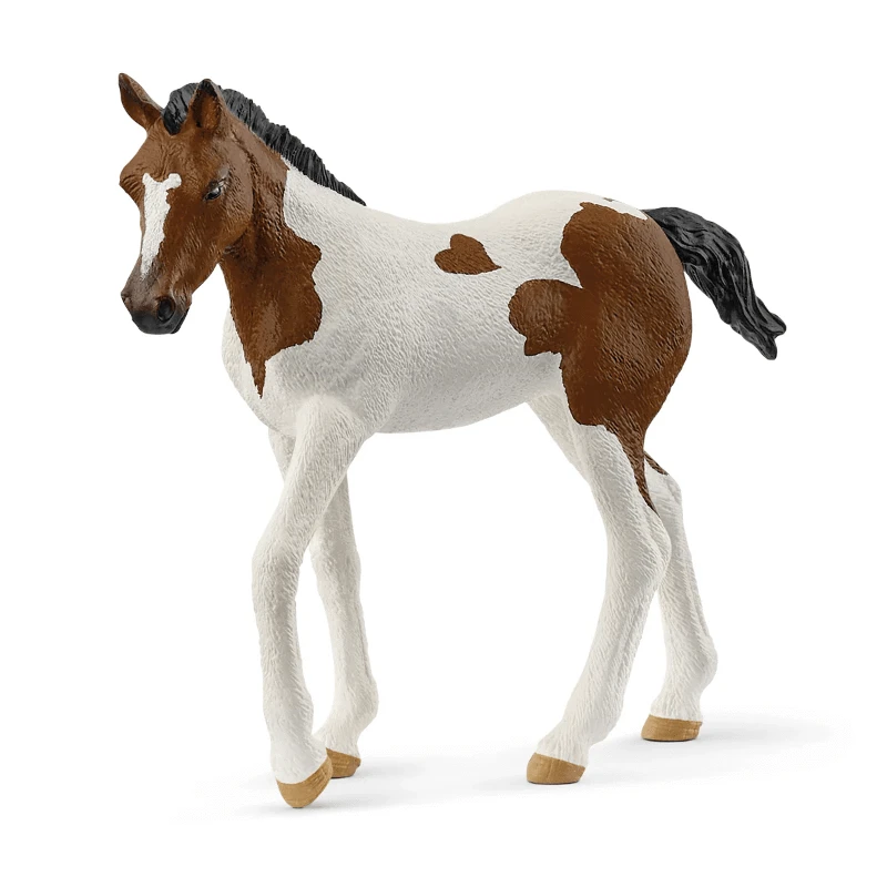 14899 Paint Horse Foal